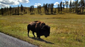 IMG_20130919_115834_413