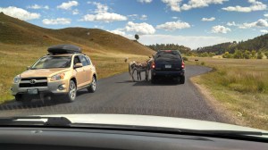 IMG_20130919_121115_155