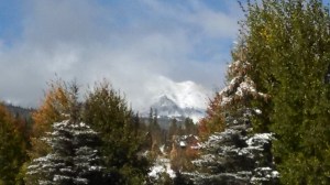 IMG_20131005_095808_527