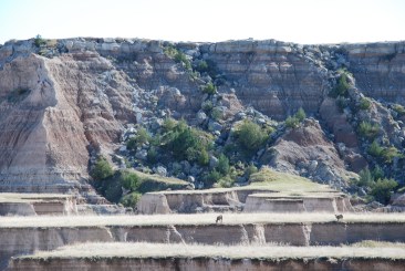 SheepBadlands