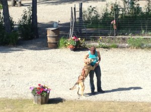 2015IditarodCandidate