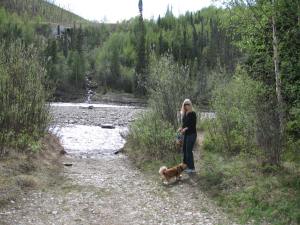 AKStateRecAreaTopOfWorld