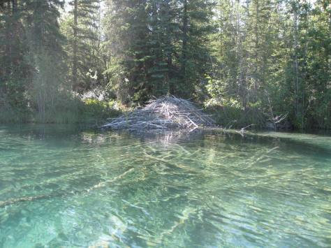 BeaverDam1_BoyaLake