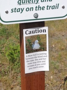 CreameryFieldFBGullWarning