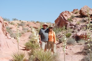 EndOfWhiteDomesTrail-ValleyOfFireNv