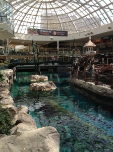 West Edmonton Mall