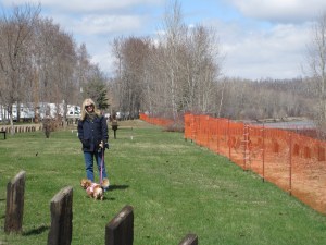 Poppins & I at the river - looks like they had some cave in's along the bank this winter.