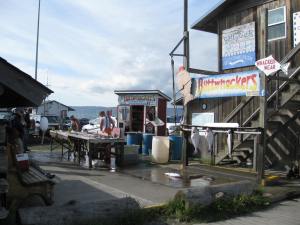 Lots Of Fishin Goin on