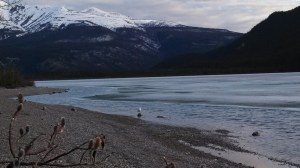 OurShoreAtMunchoLake