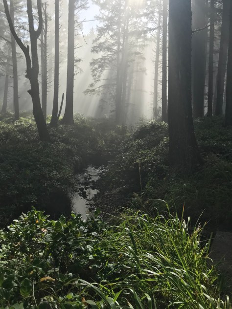 MorningHikeCapeLookout